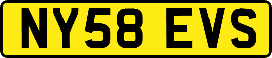 NY58EVS