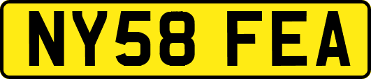 NY58FEA