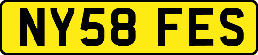 NY58FES