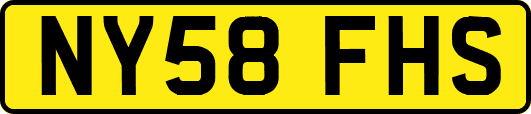 NY58FHS
