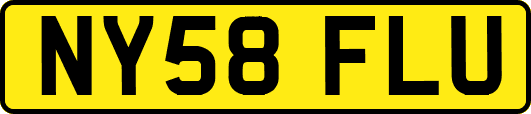 NY58FLU