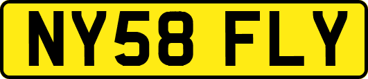 NY58FLY