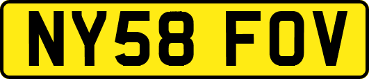 NY58FOV