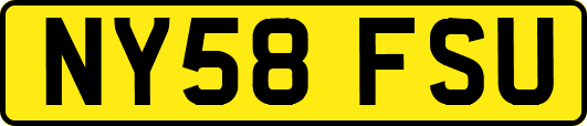 NY58FSU