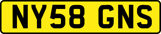 NY58GNS