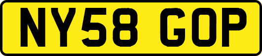 NY58GOP