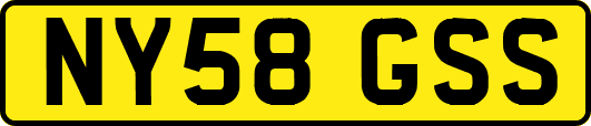 NY58GSS