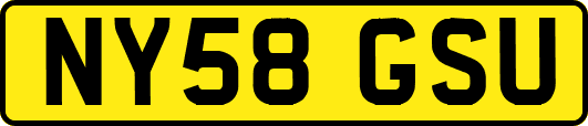 NY58GSU