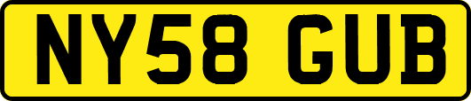 NY58GUB