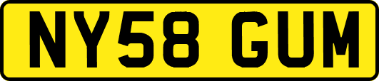NY58GUM