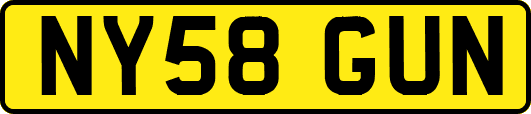 NY58GUN