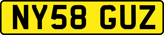 NY58GUZ