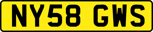 NY58GWS