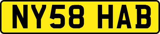 NY58HAB