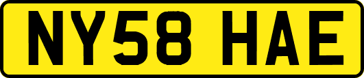 NY58HAE