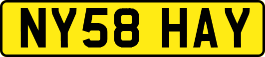 NY58HAY