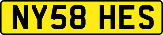 NY58HES
