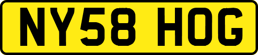 NY58HOG