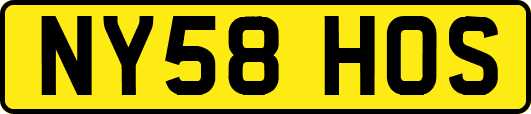 NY58HOS