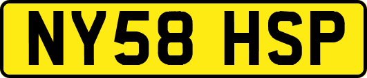 NY58HSP