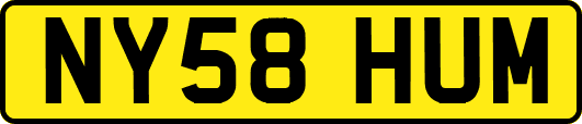NY58HUM
