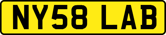 NY58LAB