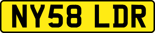 NY58LDR