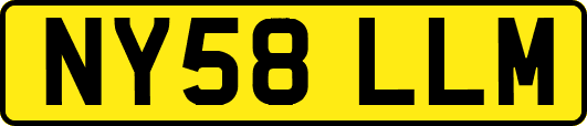 NY58LLM