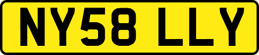 NY58LLY