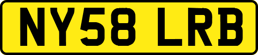 NY58LRB