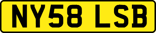 NY58LSB