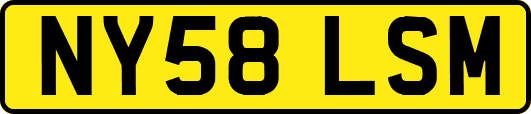 NY58LSM