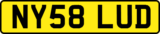 NY58LUD
