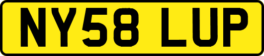 NY58LUP