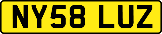 NY58LUZ