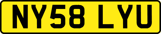NY58LYU