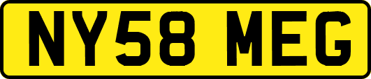 NY58MEG