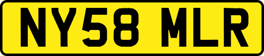 NY58MLR