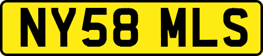 NY58MLS