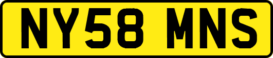 NY58MNS
