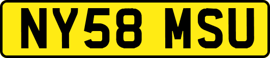 NY58MSU