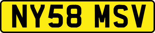 NY58MSV