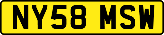 NY58MSW