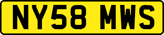 NY58MWS