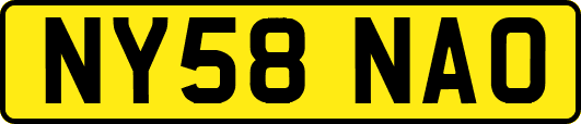 NY58NAO