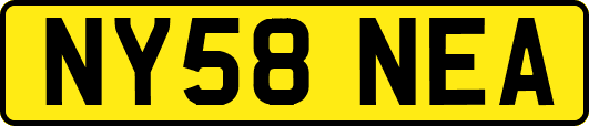 NY58NEA