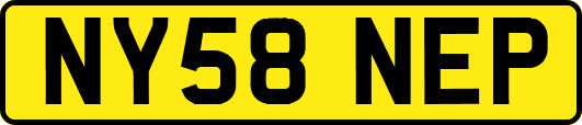NY58NEP