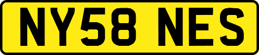 NY58NES