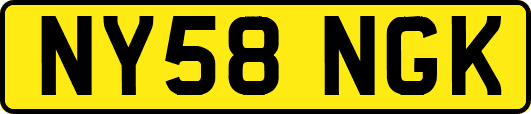 NY58NGK