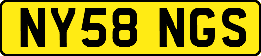 NY58NGS